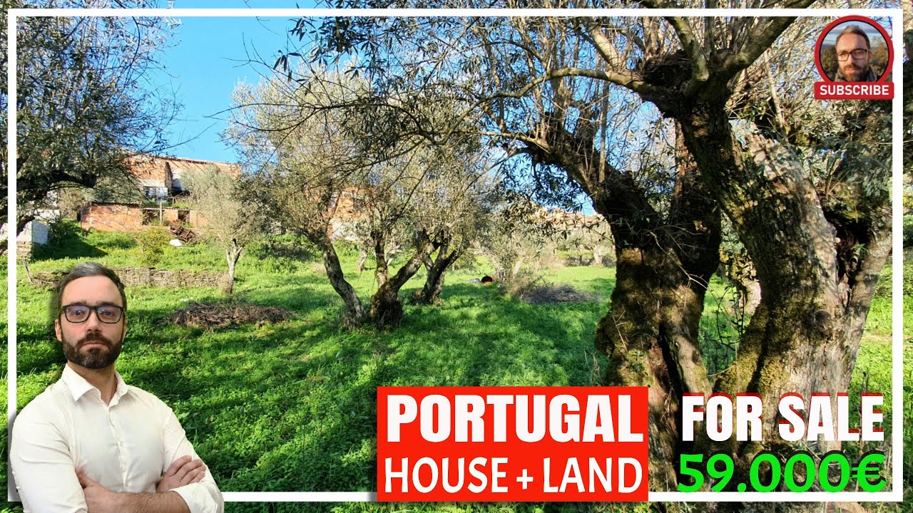 OUT OF THE MARKET - HOUSE WITH LAND FOR SALE IN THE PARISH OF STO ANDRÉ DAS TOJEIRAS, PORTUGAL