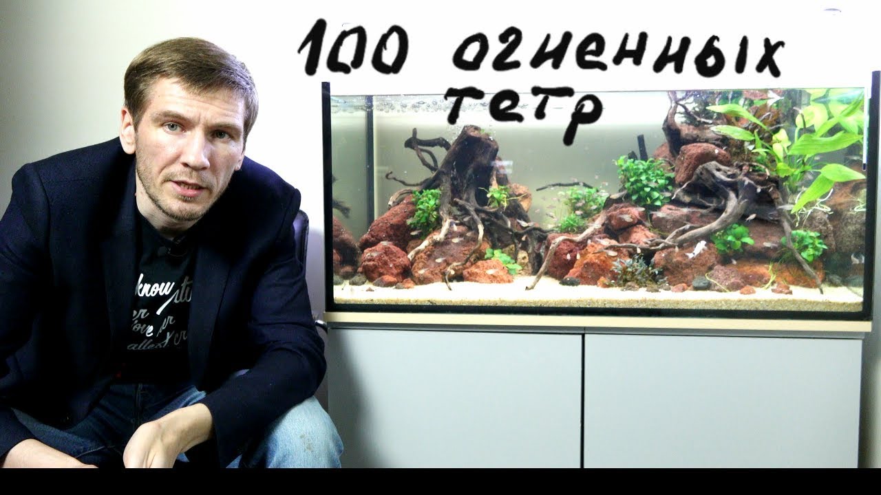 Медленный травник месяц после запуска. Первые проблемы