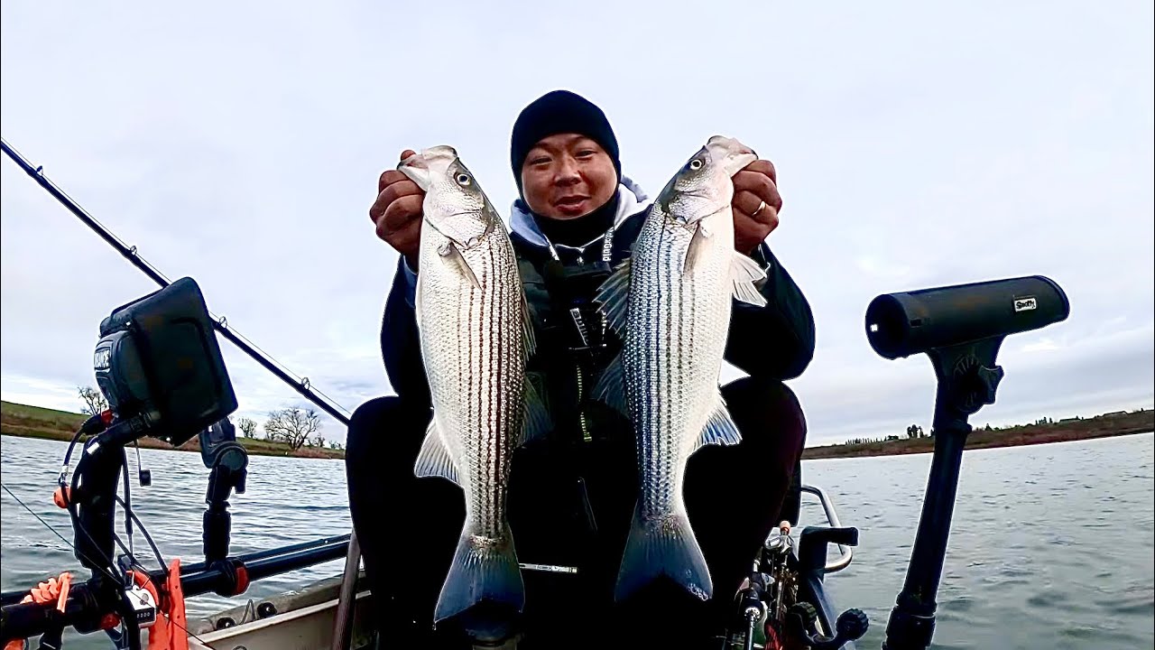 Still The Hottest Striped Bass Spot In Sacramento! 🔥