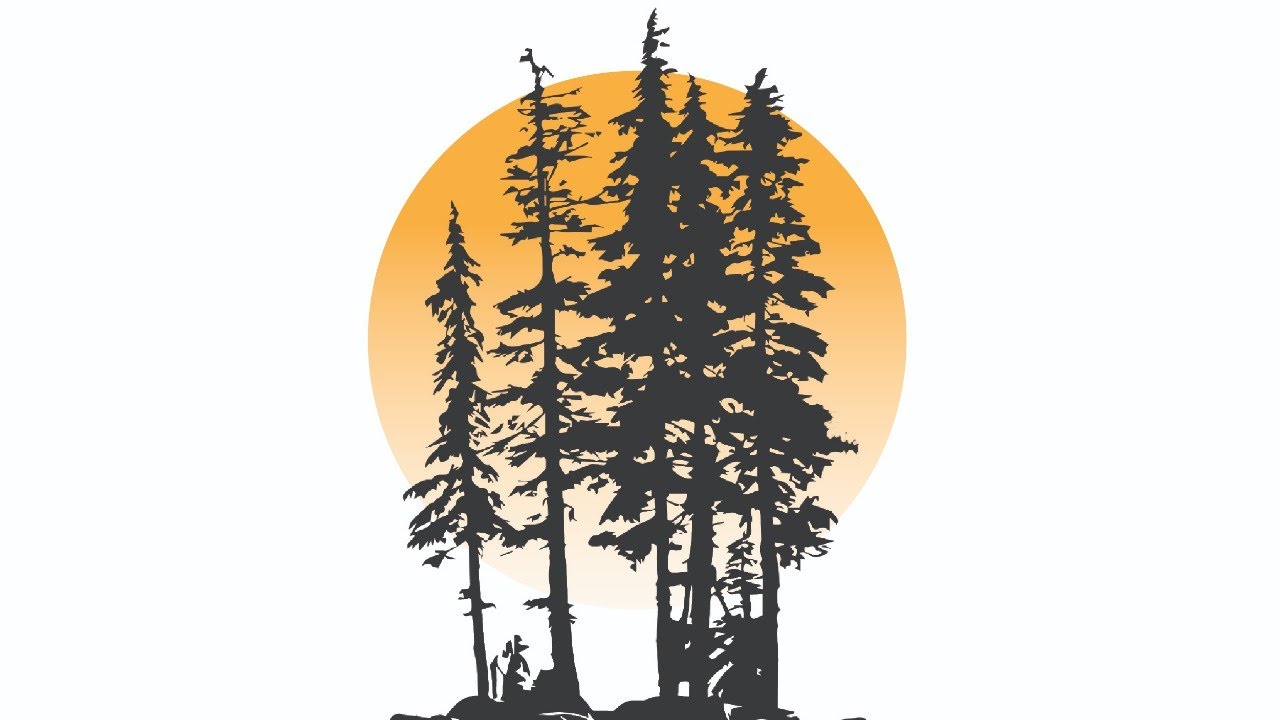 Bonsai YouTube Community Take 2