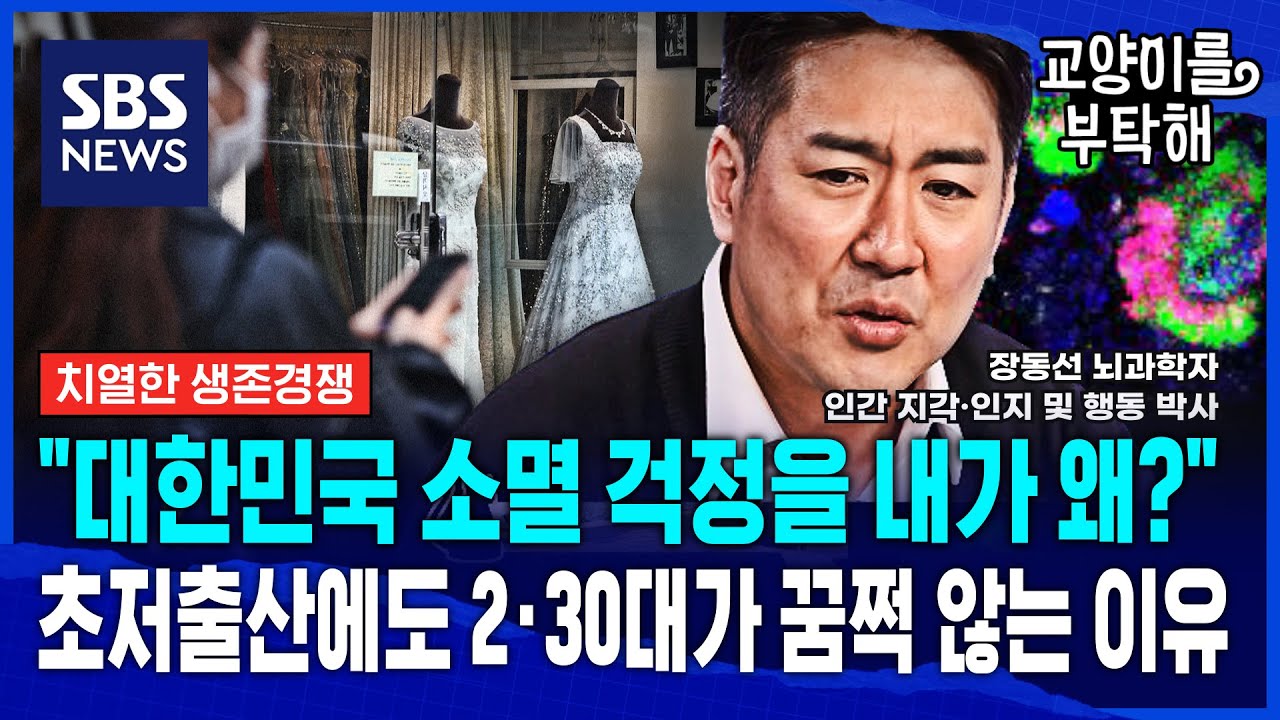 [지식뉴스] 