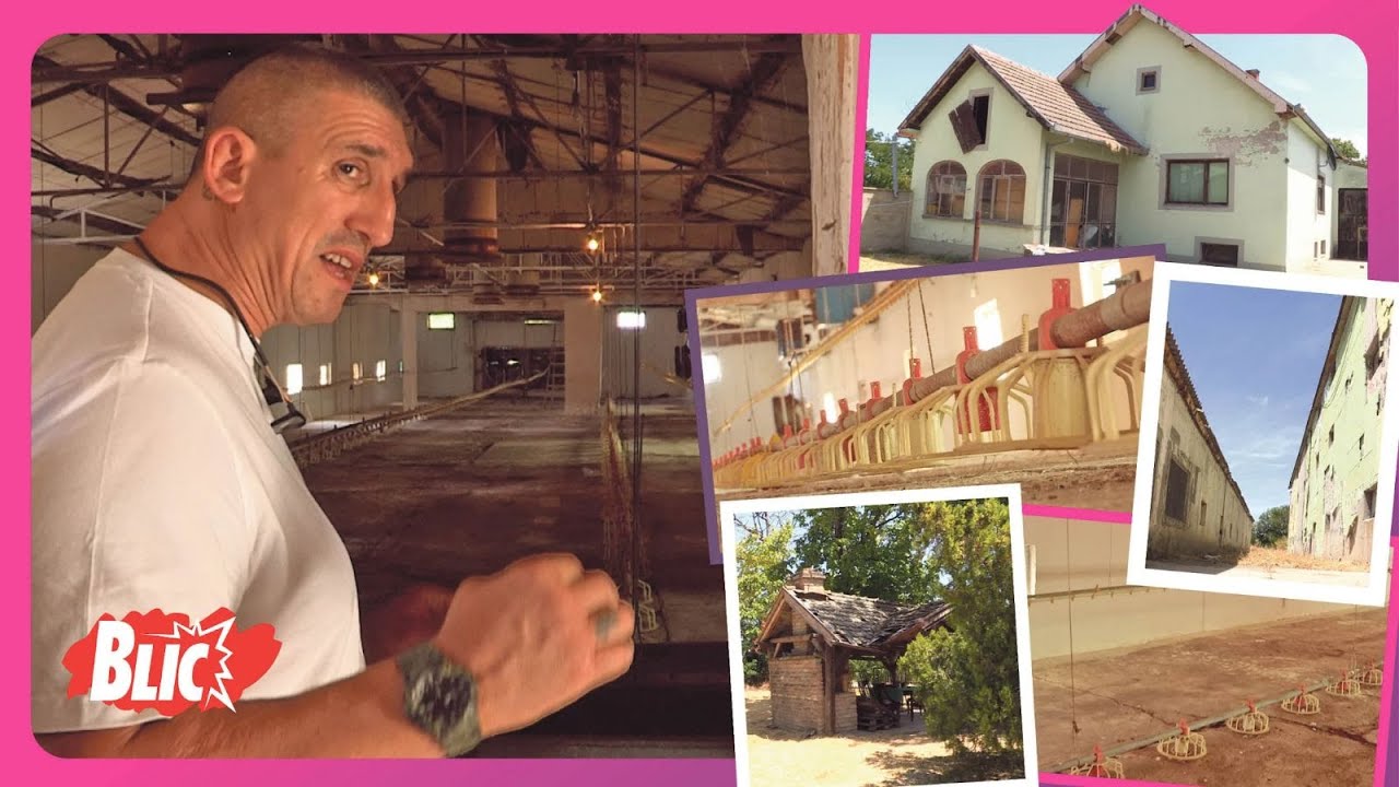 UŠLI SMO NA FARMU PILIĆA KRISTIJANA GOLUBOVIĆA Izabrao posebno mesto: 