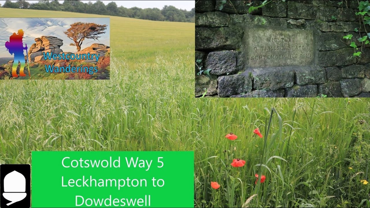 Cotswold Way 5 - Leckhampton Hill to Dowdeswell