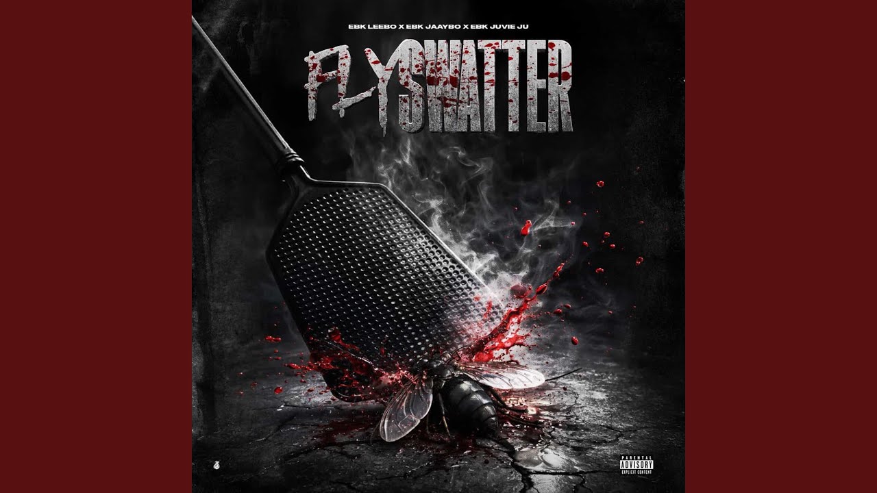 Fly Swatter