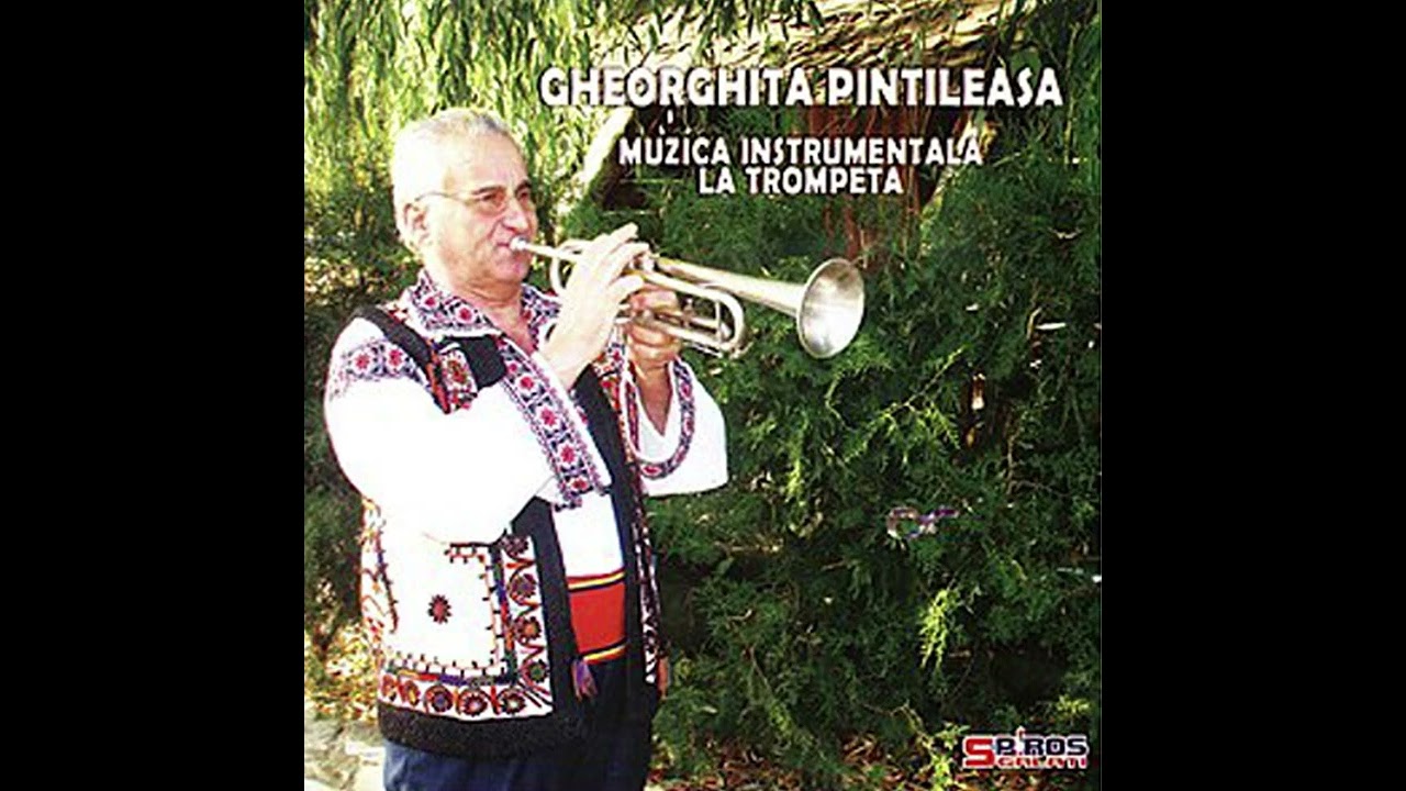 Gheorghita Pintileasa 2017 (CD-Original)