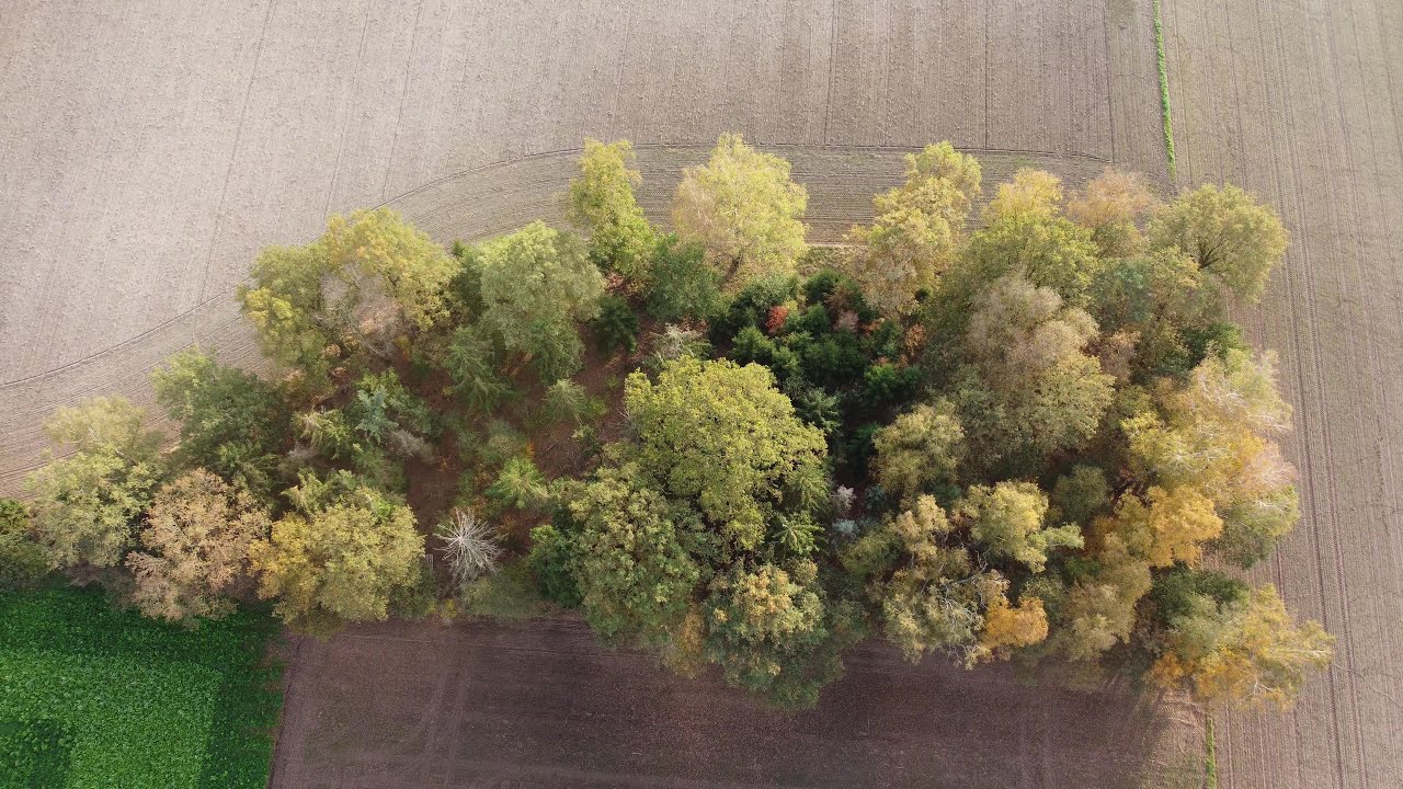 Metelen: Der Herbst in seinen schönsten Farben / DJI Drohne und GOPRO 9