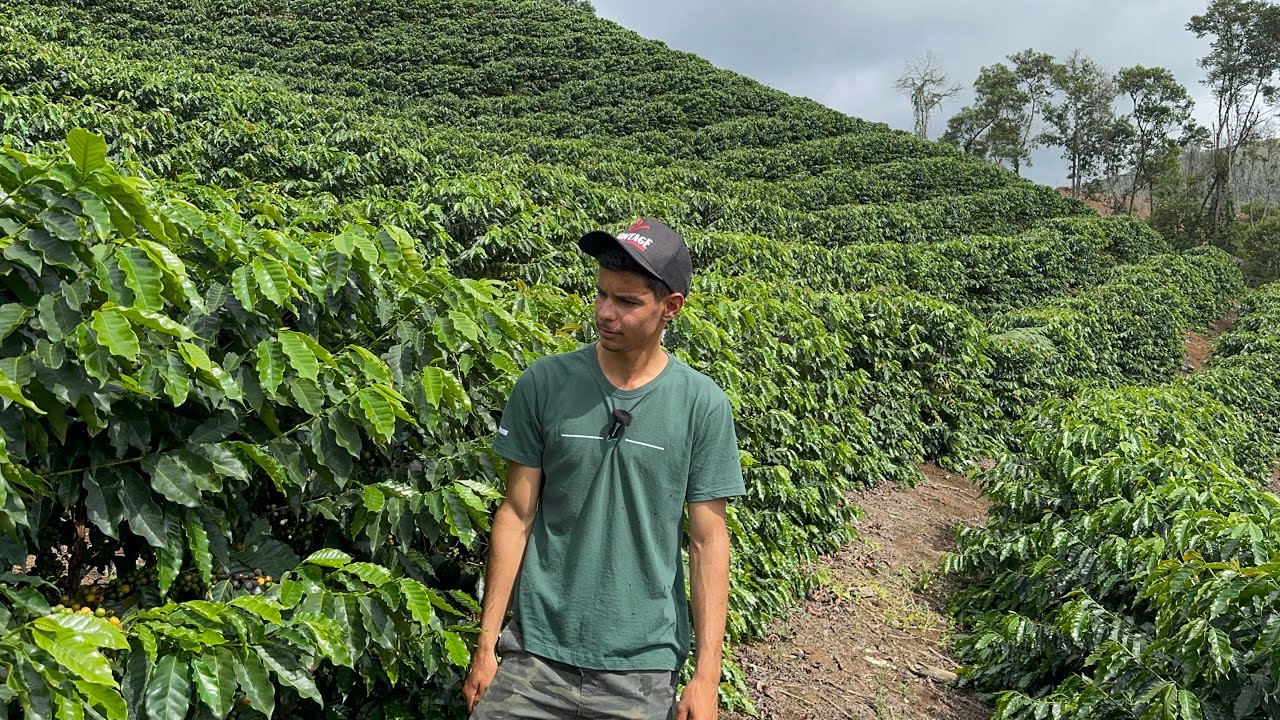 CAFÉ PARAÍSO GOSTEI MUITO dessa  VARIEDADE