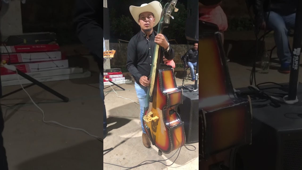 🔥Asi se toca el tololoche en Turicato 🔥