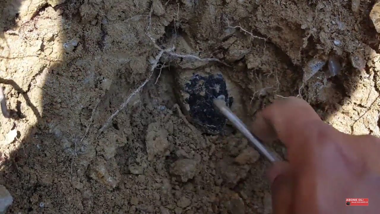 KÖYLÜNÜN BAHÇESİNDE ÇIKAN HAZİNEYE BAKIN !!!