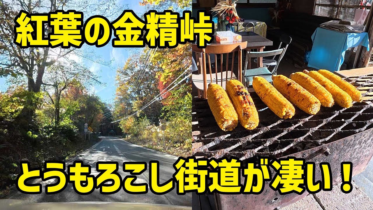 【スズキハスラー車中泊の旅 栃木群馬編 その4】紅葉の金精峠を抜けて群馬へ、とうもろこし街道でカルチャーショックからの道の駅 尾瀬かたしな