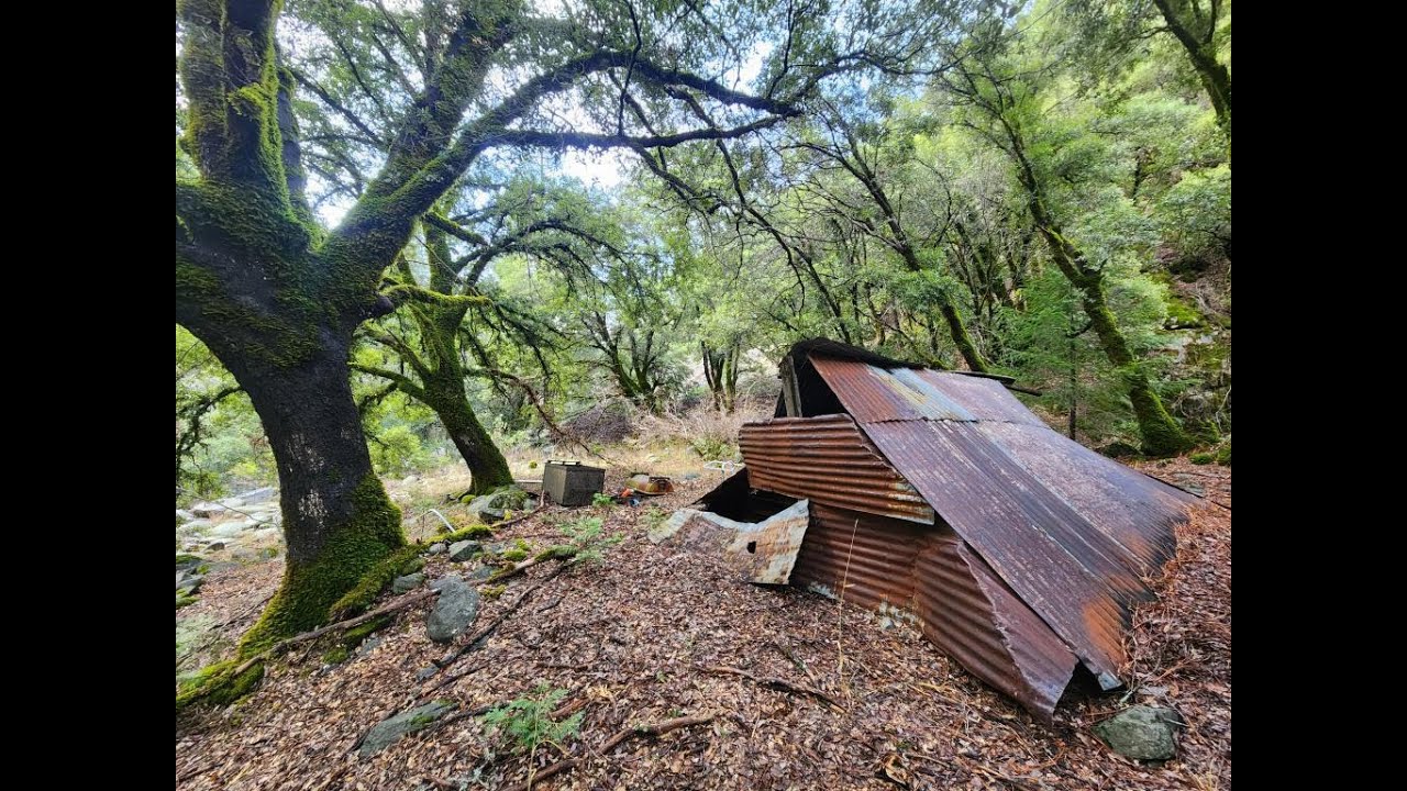 Abandoned Gold Mine Overloaded With Quartz & Crystals