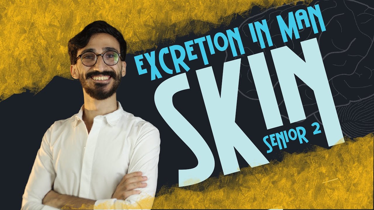 Biology | Excretion | skin | second term | senior 2 | دكتور مصطفي خضر |2024