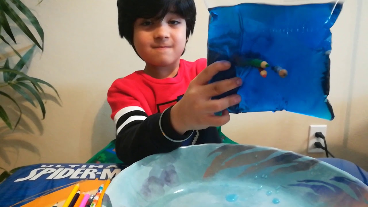 DIY Leak Proof Bag - Science Experiment