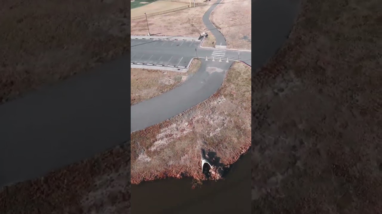 FPV drone manual mode at the park #shorts #drone #fpv #dji