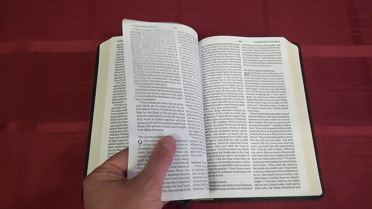 ESV Large Print Thinline Bible Review