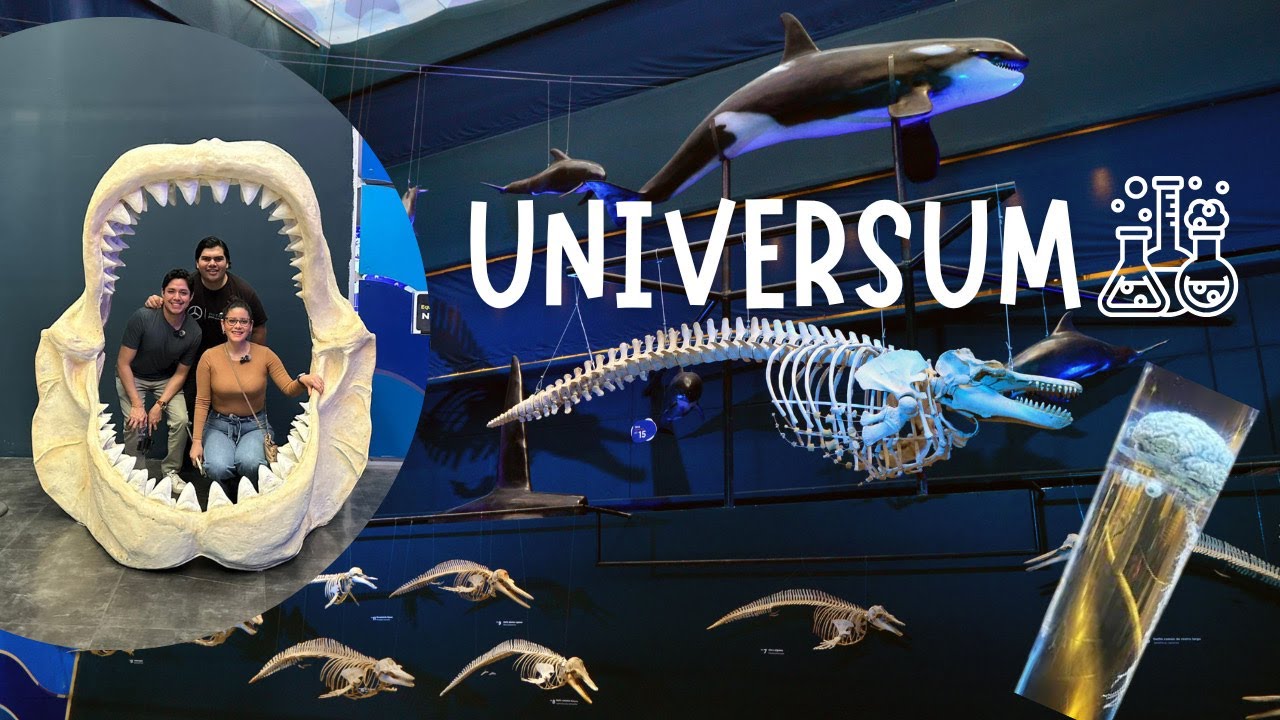 🔬🚀 Descubre el UNIVERSUM: El museo de ciencia más increíble de CDMX