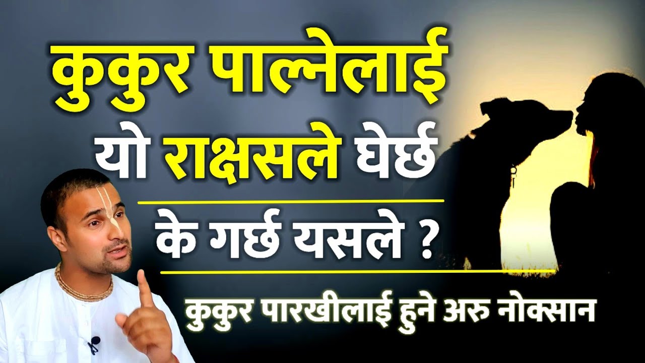 कुकुर पाल्नेको घरमा यस्तो राक्षस घुम्ने गर्छ|के गर्छ त्यसले?कुकुर पारखीहरुलाई यी यी कुरामा हानी