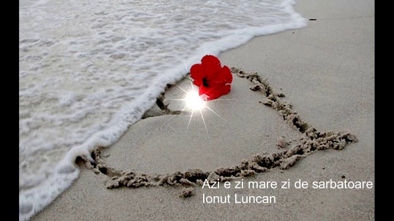 Ionut Luncan I Fratilor surorilor ,bine ati venit la noi