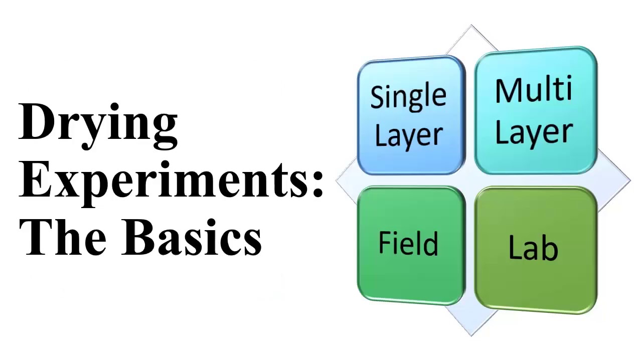 What does past research tell us about drying rate in alfalfa? - Jordyn Bush