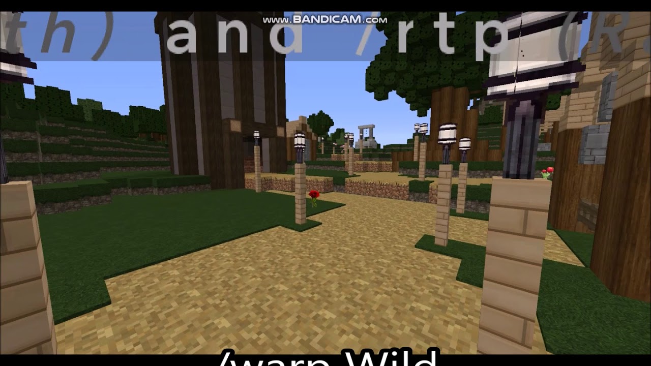 Server Overview!