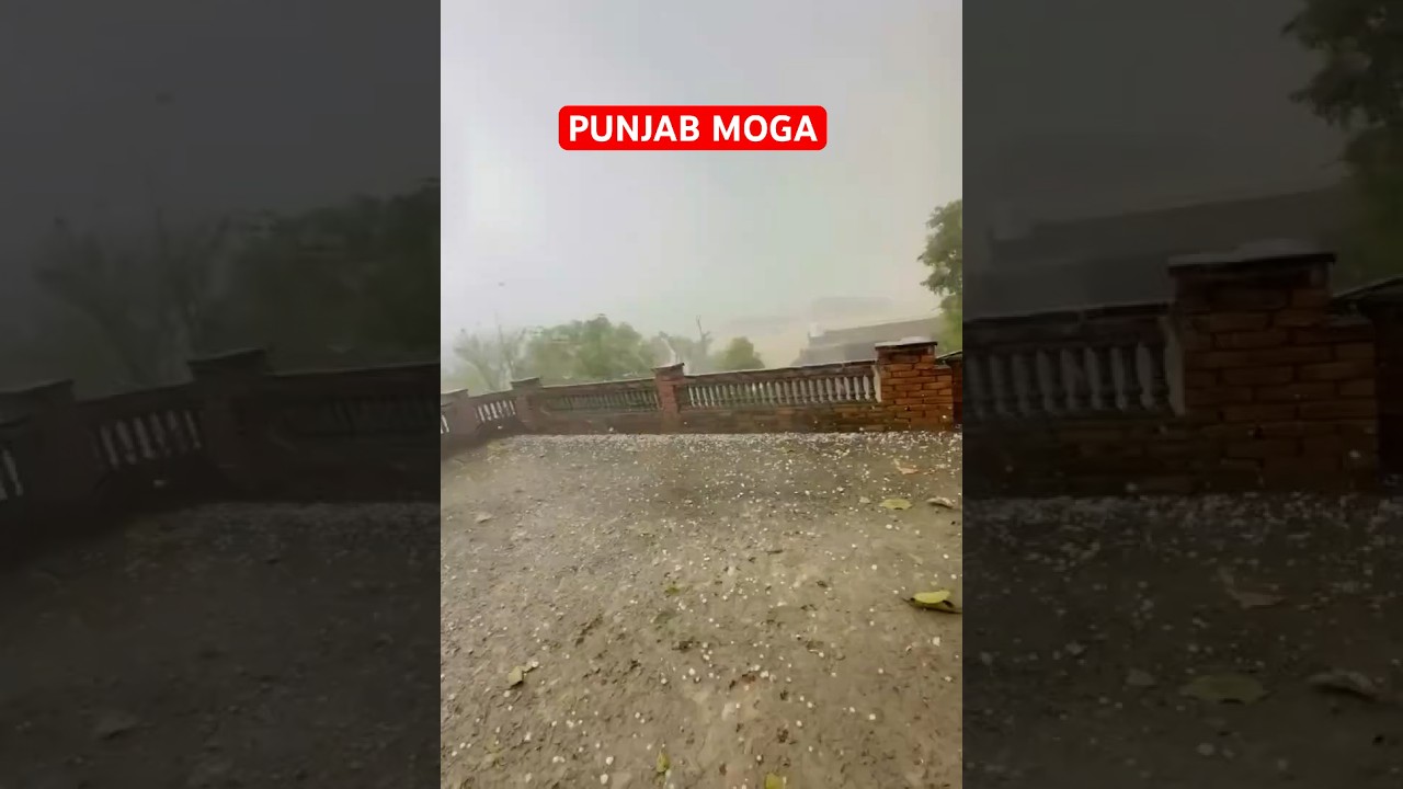 Heavy Rain & Hailstorm in Moga Punjab Today #punjab #Weather #rain