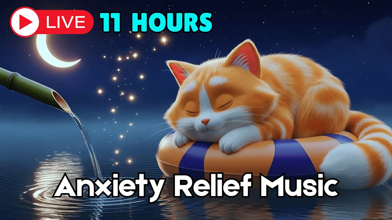 Relaxing Cat Music with Gentle Piano to Promote Comfort and Deep Sleep