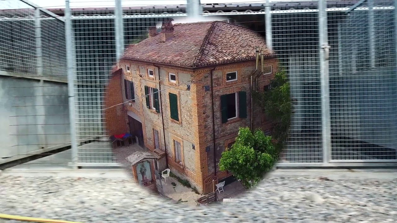 IL MONDO CHE VORREI PENSIONE PER CANI