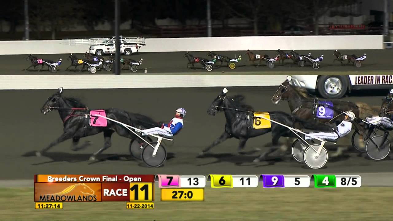 Breeders Crown Open Trot Final - Commander Crowe - November 22, 2014