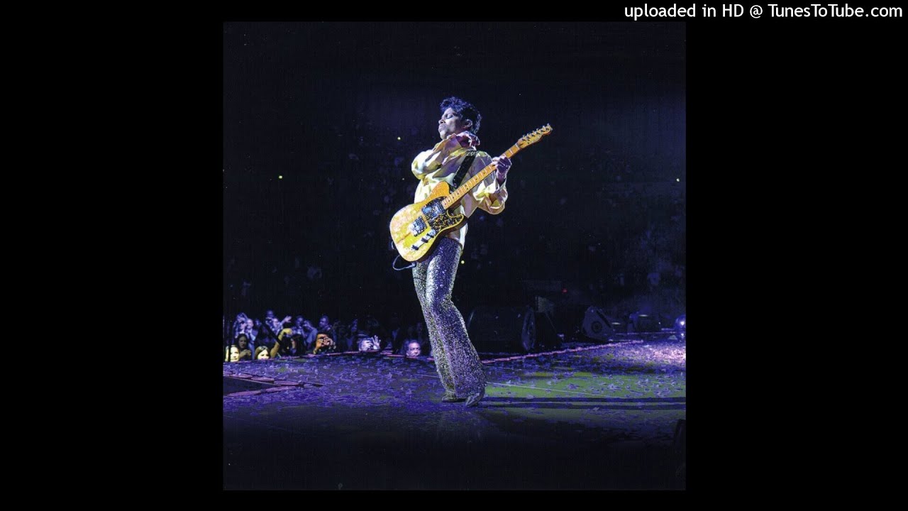 03 - Musicology (House Of Blues / Live)