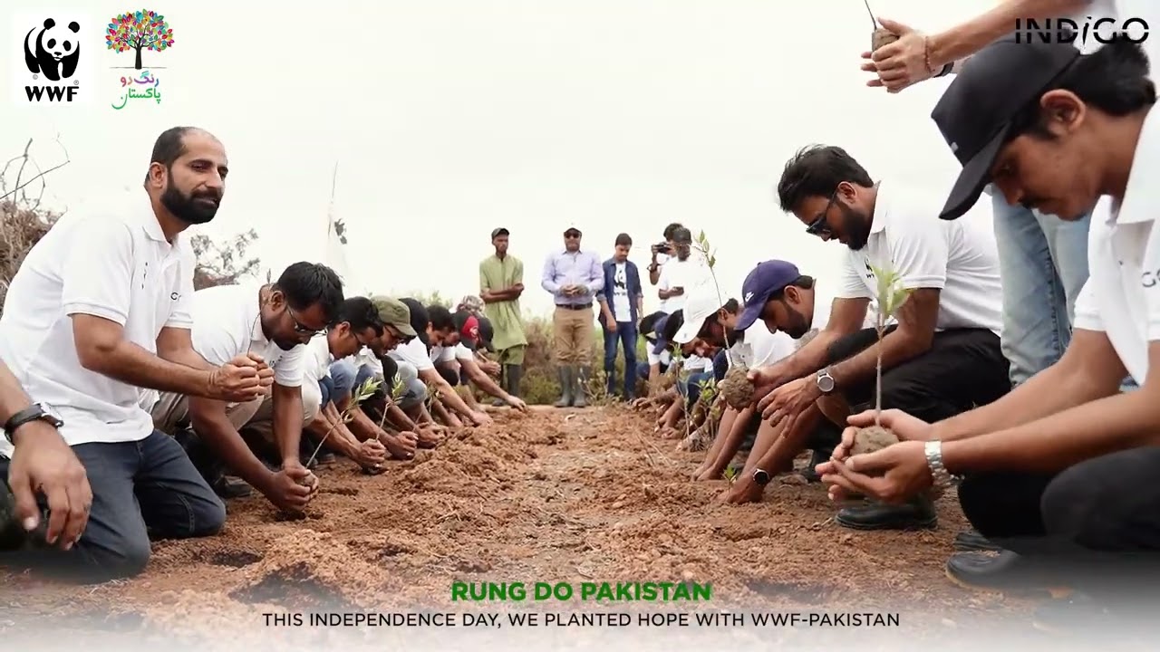 Rung Do Pakistan: Our Journey of Green Patriotism - Indigo Textile