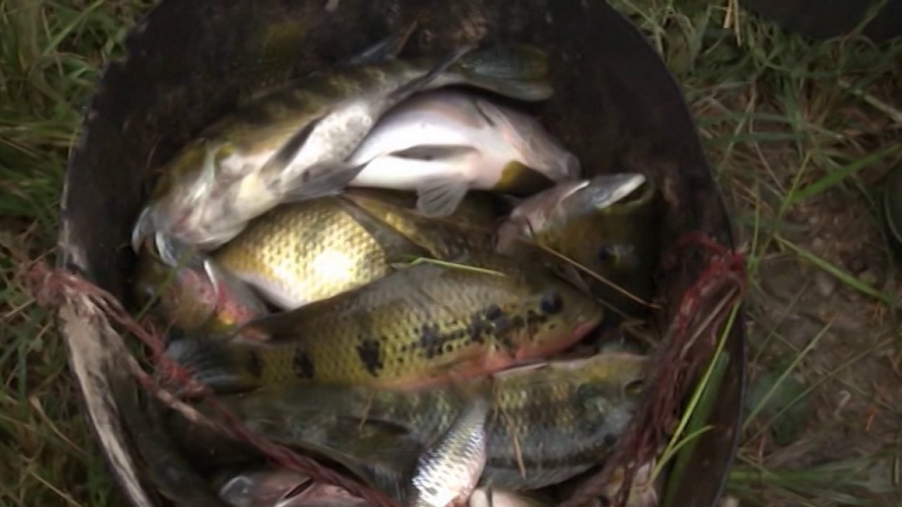 Ressources halieutiques : l’aquaculture, quelle contribution dans la production nationale ?