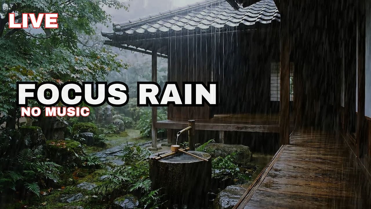 Rain Sounds for Focus (LIVE) — Japanese Garden Rain | No Music