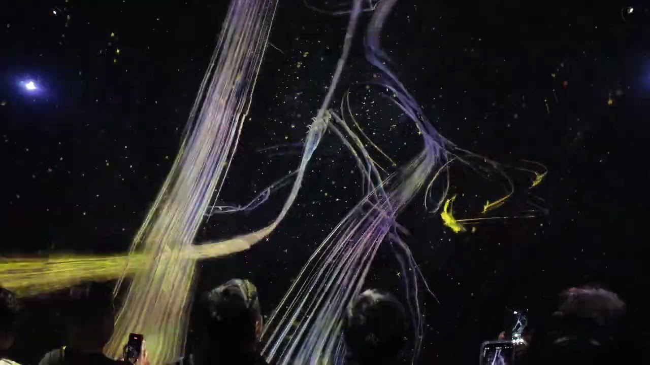 Kyoto Team Lab 4K Part 4   Traces of Life