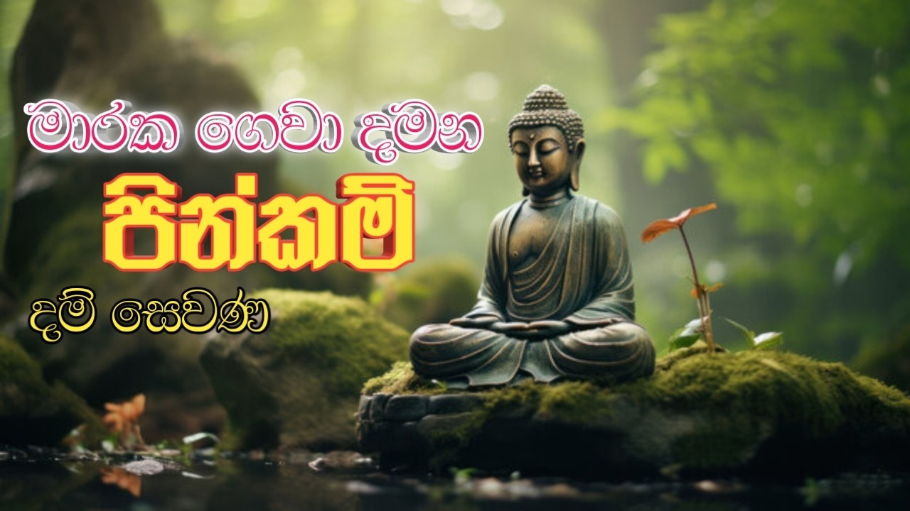 මාරක ගෙවා දමන පින්කම් /welimada saddaseela himi/ දම් සෙවණ