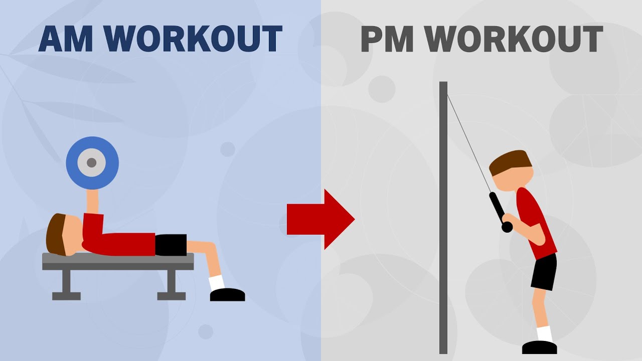 Is Training 2x / Day Effective for Muscle Growth?