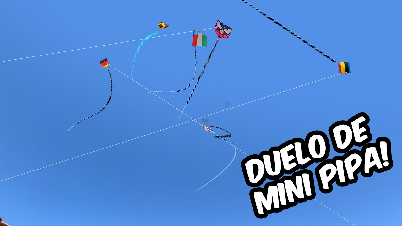 A MINI PIPA DO MALVAD&Atilde;O FEZ O LIMPA NO C&Eacute;U !! #minipipa #pipa