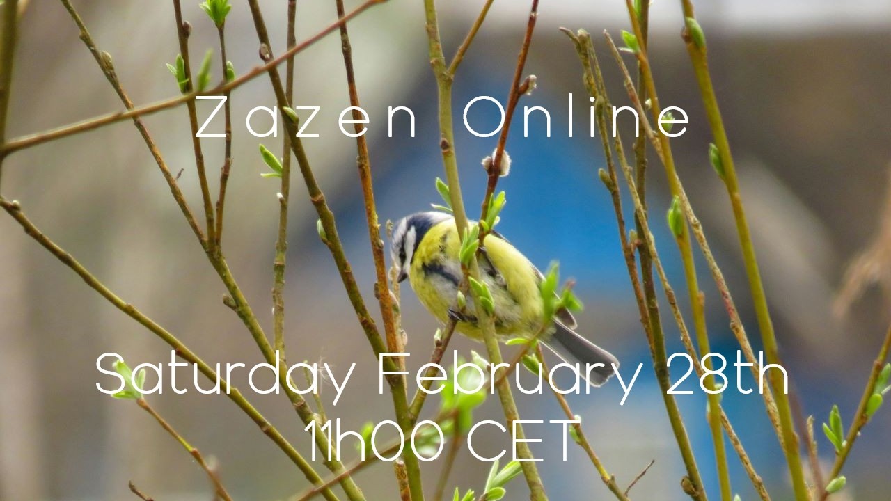 Zazen Online February 28th 2026 11h00
