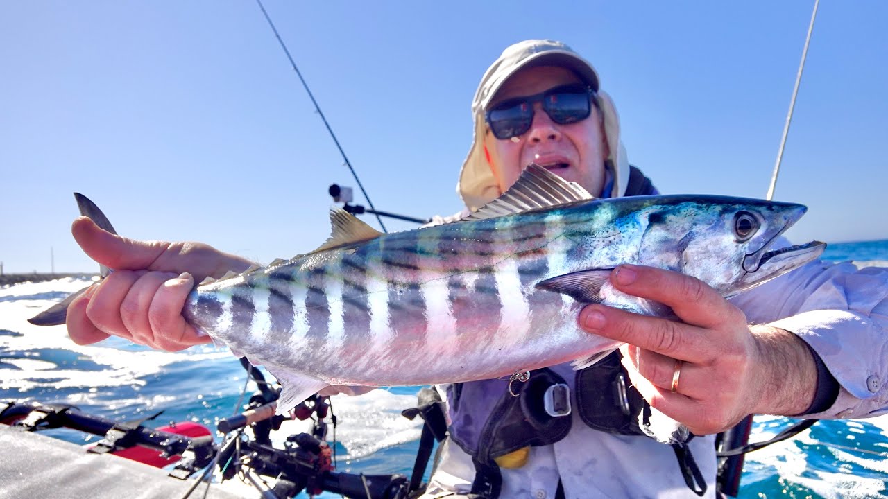 Fishing Bonito - Trolling with lures - strong current and waves