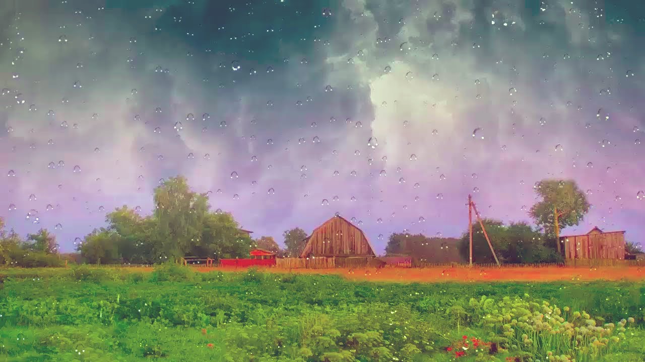 Шум дождя в деревне из моего окна. При бессоннице и тревоге.