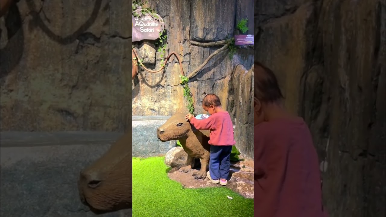 Mini vlog rayra go to jakarta aquarium safari❤️❤️#jakartaaquarium #qualitytimewithfamily