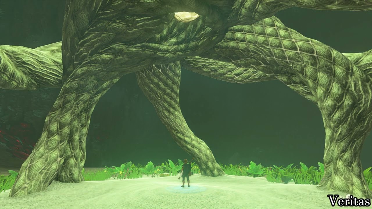 How to Find Camobatures Lightroot Location - The Legend of Zelda Tears of The Kingdom