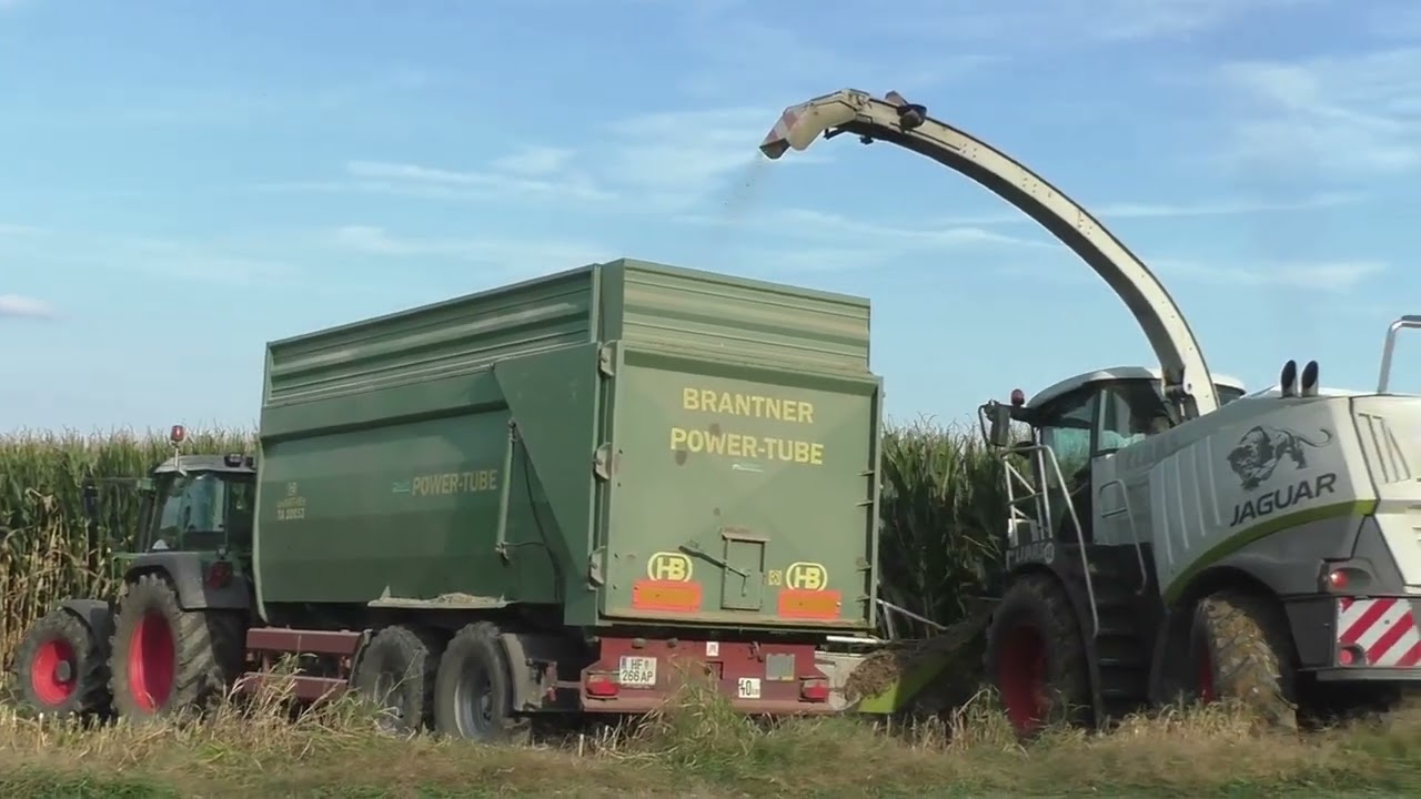 Erntetechnik Hannes Hauptmann  Sound Pur Mais häckseln meine ersten Aufnahmen von Region Bad Blumau