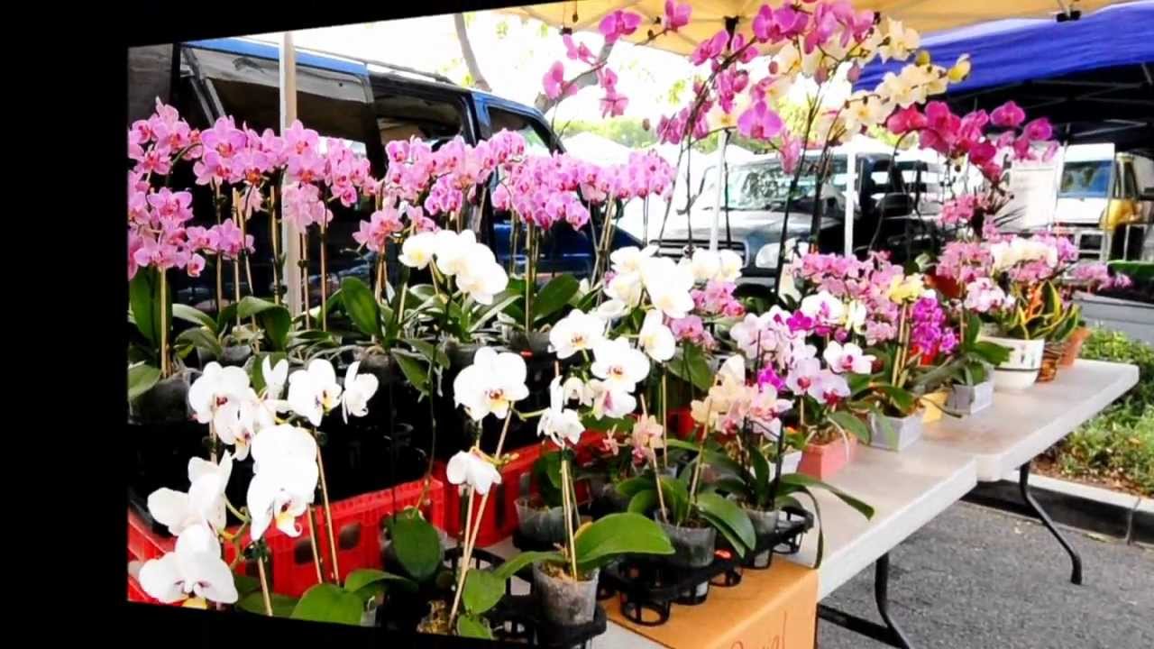 Whittier Farmers Market Friday Mornings From 8am-1pm