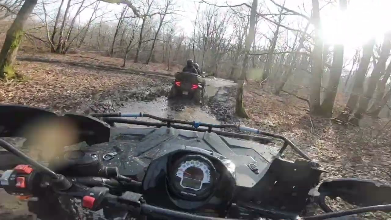 Quad Forest Hill Partie 2 le 16/02/2024