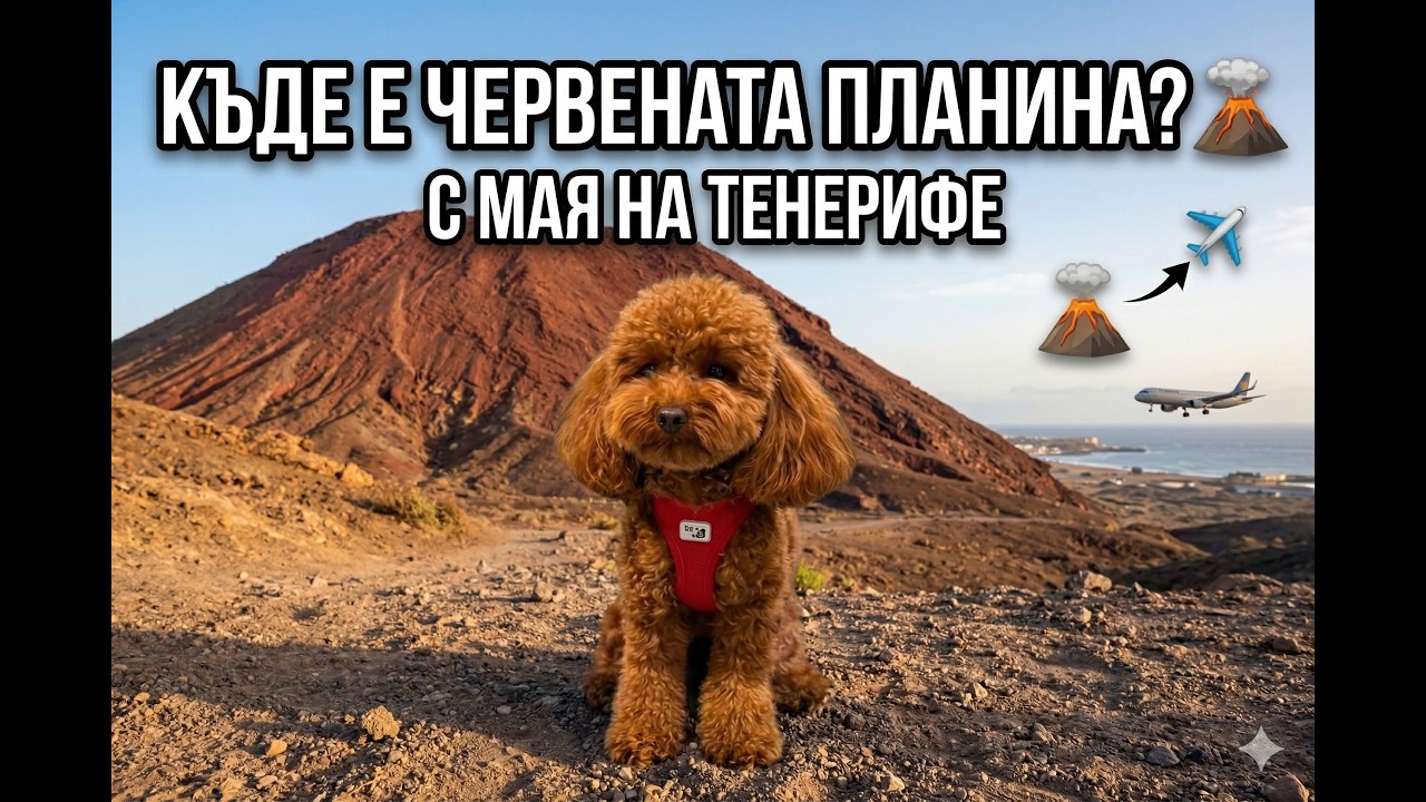 „Изкачих Montaña Roja в Тенерифе 🌋“