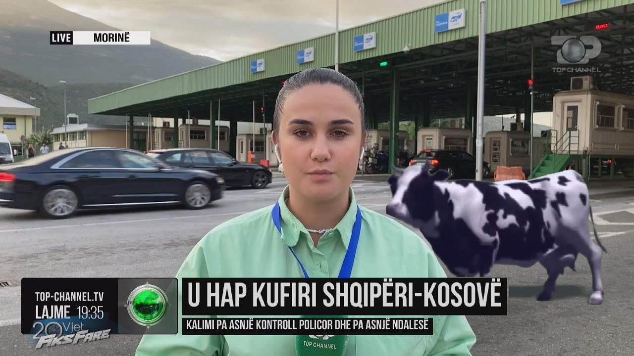Fiks Fare/ Monitorime/ Gazetares në lidhje Live i pëllet lopa