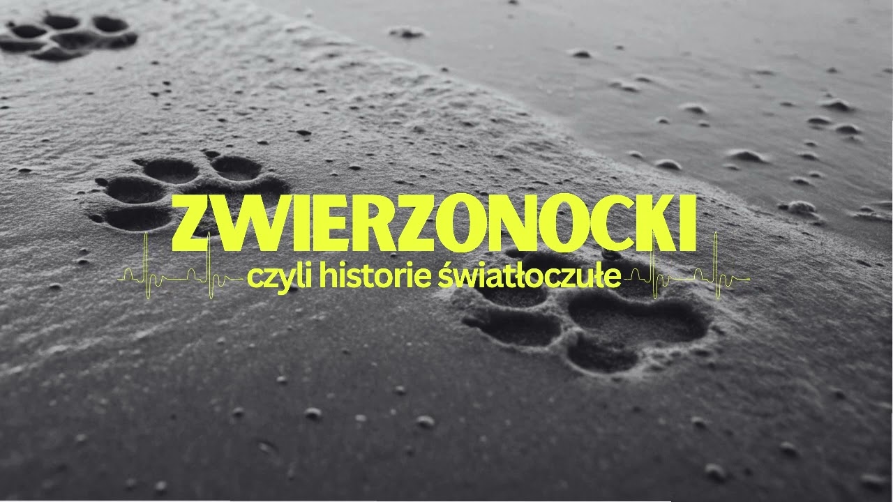 Zwierzonocki, czyli historie światłoczułe [#3] | Rysiek