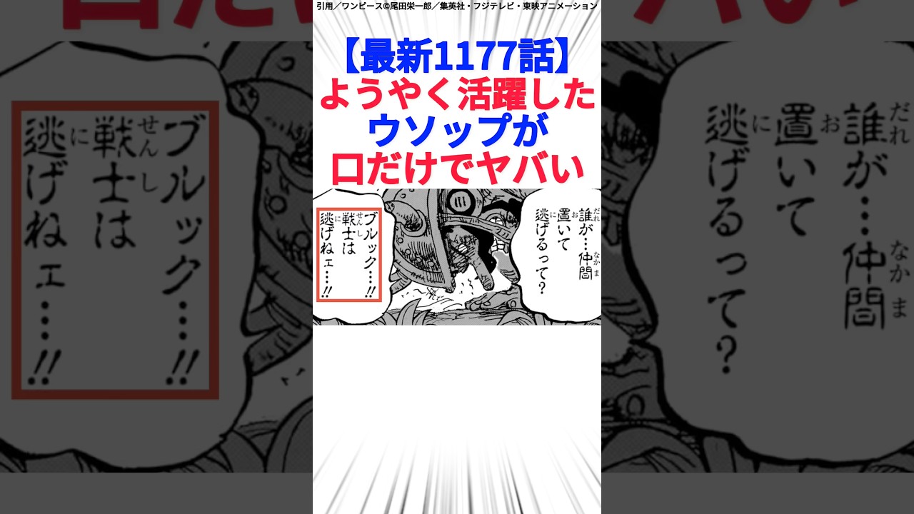 【最新1177話】ようやく活躍したウソップが口だけでヤバい
