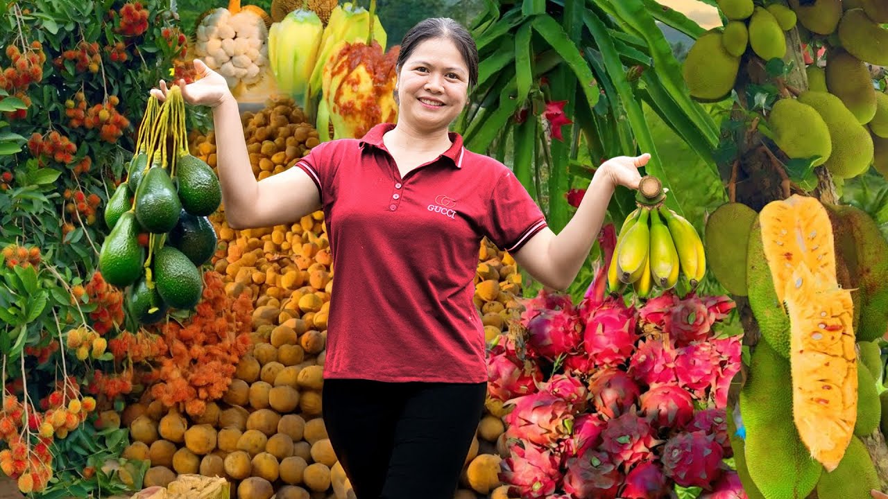 Satisfying Village Life 🌿 Harvesting Different Kinds of Fruits | DragonFruit,Avocados & Many More