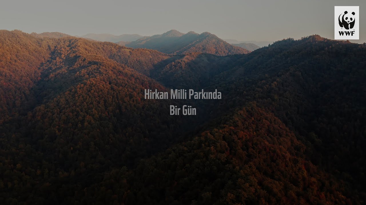 Hirkan Milli Parkında Bir Gün / 4K